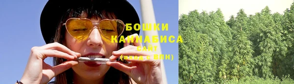 PSILOCYBIN Абдулино