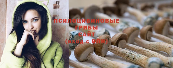 стафф Абаза