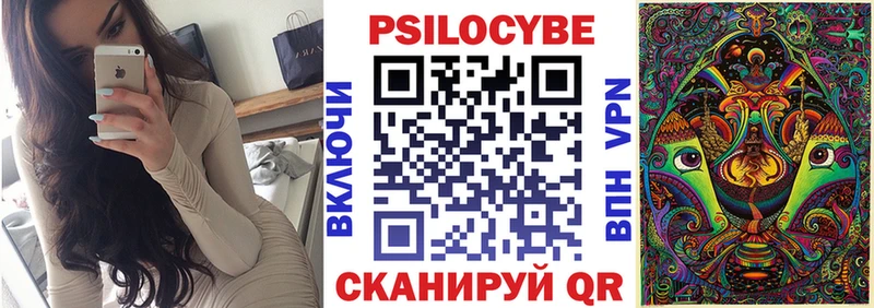 MEGA как войти  Сураж  Псилоцибиновые грибы мухоморы  где можно купить  